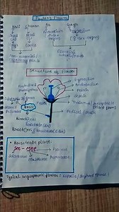 ## class 12 botany chapter 1 Sexual Reproduction in flowering plant ## notes part(1) ##🔥🔥🔥