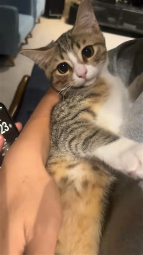 Poi Leng on Instagram: "Yes Mummy.. u calling me? I’m busy bonding with Daddy"