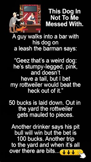 "This joke has me literally rolling on the floor laughing!🤣🤣🤣Read the joke in the comment below👇👇 | The Trend Home