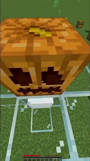 Best snow farm in minecraft