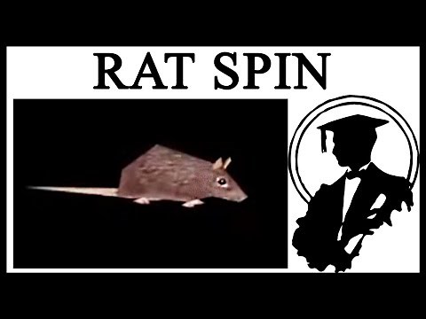 What's Up With The Spinning Rat?
