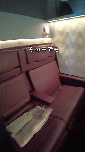 The result of being too addicted to JAL first class