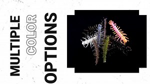 New for 2023: YUM Hellgrammite - Bassmaster