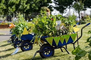 Bloom and judged! West Midlands schools’ wheelbarrow contest returns to BBC Gardeners’ World Live