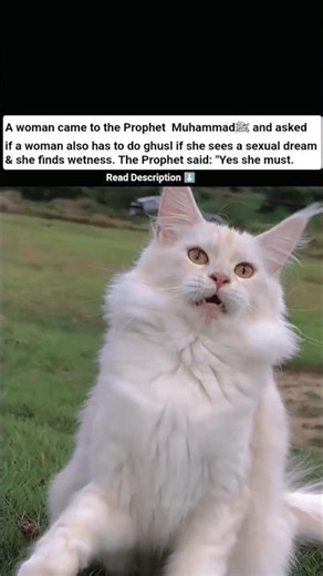 Read Description scp⬇️#FaithAndKnowledge#IslamicHistory #UmmSulaym#Ghusl#WomenInIslam#SeekKnowledge