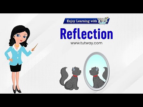 Reflection | Reflection of Light | Transparent, Translucent & Opaque Objects | Examples | Science