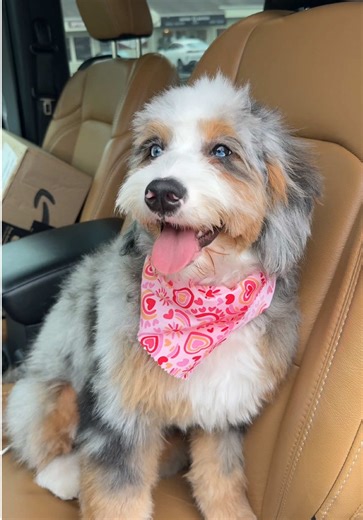 Coasty Girl's First Haircut: A Heartwarming Transformation