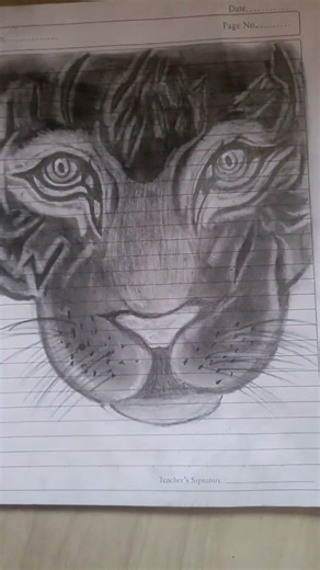 tiger face drawing#charcoaldrawing #art#100kvews #like#2ksubscribers