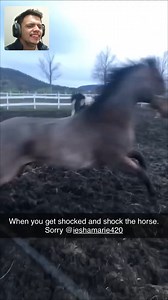 6.5K views · 107 reactions | Animals VS Electric fence shock LOL 藍⚡️#funnymoments #ElectricFence #funnyvideos | Eletric FENCE | Facebook