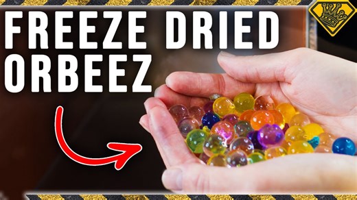 What happens to Orbeez in a freeze dryer experiment