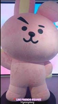 📍LINE FRIENDS STORE 🇰🇷MYEONGDONG