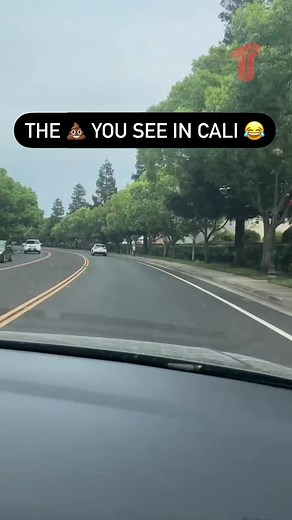 8.9K views · 149 reactions | I see this outside I'm walking back inside  : #VerdeBabii - "Slo-Be Flow" | Thizzler On The Roof | Facebook