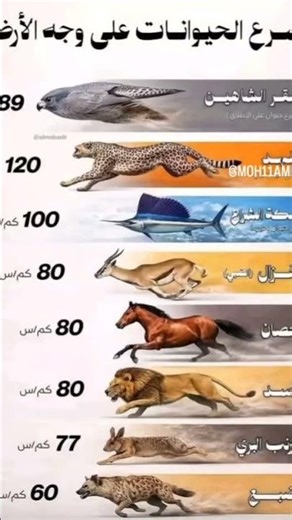 أسرع الحيوانات في العالم