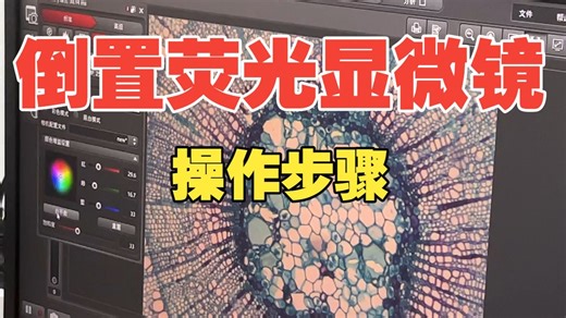 倒置荧光显微镜-徕卡-DMIL LED