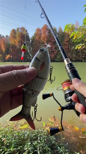 HADORAM Lure on TikTok