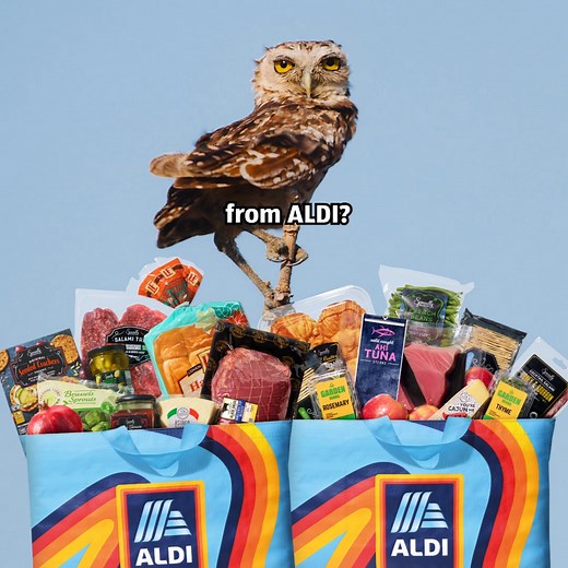 Shop ALDI first and impart your savings wisdom. | ALDI USA