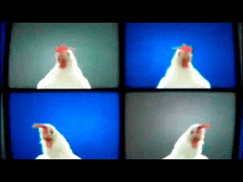 Techno Chicken Song