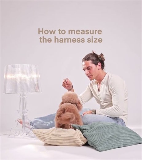 How to measure the harness size