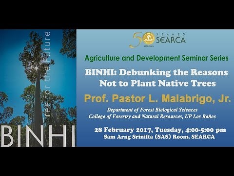 BINHI: Debunking the Reasons Not to Plant Native Trees