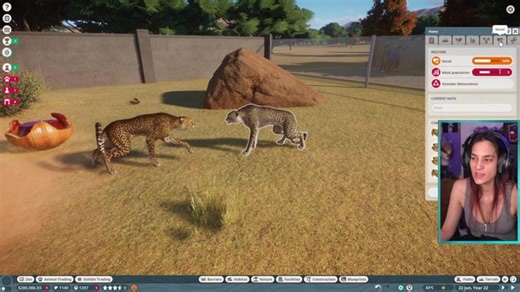 CODENAMES and SALEMS (maybe) and ???