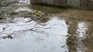 Drizzle Morning Hits Floor House 库存影片视频（100% 免版税）3521858737 | Shutterstock