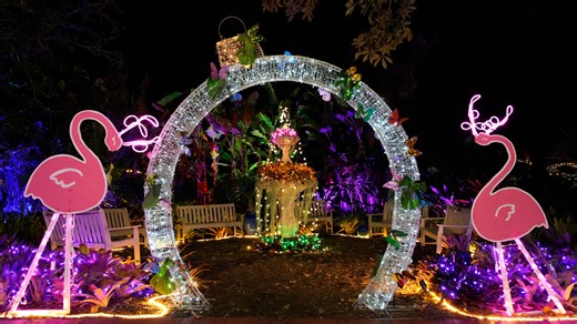 Top 5 things to do in Sarasota this weekend include holiday lights
