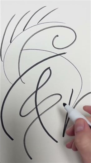 Don’t Blink — This Line Changes Everything