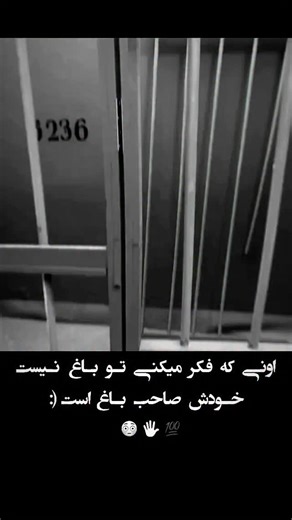 🇯​🇦​🇳​4🇳​__87🍂🤍 on Instagram: "This viral video captures a man repeatedly attempting to flee a pursuing Belgian Malinois through a kennel gate, creating a comedic "infinity loop" as the dog's relentless energy traps him in a cycle of evasion, filmed at what appears to be a dog training facility. , an account specialising in absurd, decontextualised human moments, the clip amassed over 8 million views and 34,000 likes within weeks, highlighting the breed's renowned stamina—Belgian Malinois