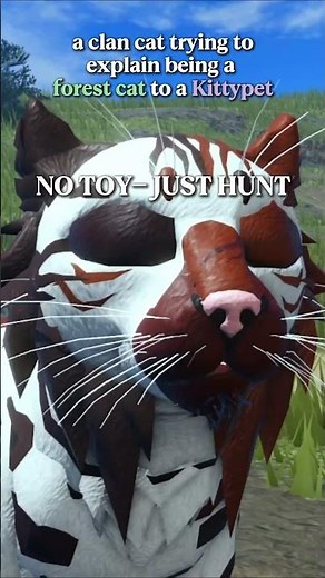 A Former Kittypet and a Clan Cat | Warrior Cats; Ultimate Editiob