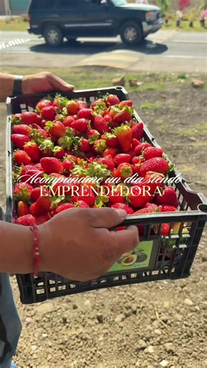 Acompáñame un día siendo emprendedora ✨ Gracias por todo 2025 #emprendimiento #midiaadia #fresasconcrema🍓 #inspiration #emprededora