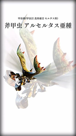 About Desert Seltas [Monster Hunter]
