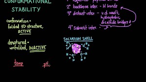 Conformational stability: Protein folding and denaturation