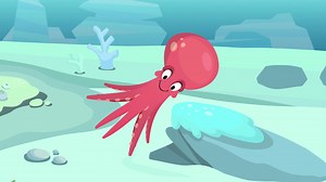 Mollusks for kids - Invertebrate animals - Science for kids