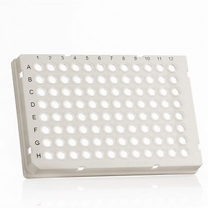 [Hot Item] 96 Well Transparent Skirt Free 0.2ml DNA/Rna Enzyme/Fluorescent PCR Plate