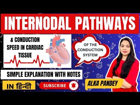 Internodal Pathways & Conduction Speed: How the Heart’s Electrical Signal Travels | In Hindi | ALKA