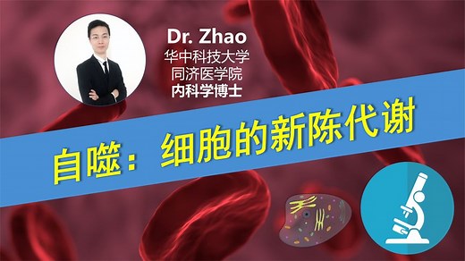 诺奖揭示细胞新陈代谢机制，如何通过轻断食与运动激活细胞自噬？ - 西瓜视频