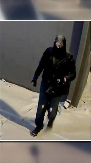 Tesla Vandalism Suspect Arrested With Explosives