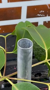 How to cut perfect circular shapes from paper Cut perfect circles from any sheet #USA #SmallTownBuild #CircleCut | DIY BUGS