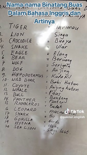 Nama-nama Binatang Buas Dalam Bahasa Inggris dan Artinya #belajarbahasainggris #englishlesson #english