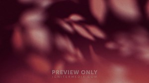 Autumn Again - 7 - Worship Backgrounds