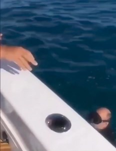 Getting a couple diving for crayfish 🎥 Fishing at New Zealand || | On The Deck - Footage from Australia's Commercial Fisherman