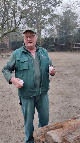 Volker Friedrich on Instagram: "#bison #nordamerika #volkerhagenbeck #volkerfriedrich #tierbeschäftigung #zookeeper #tierpark #hamburgmeineperle #geruch #geruchsinn #herdentier #rinder #instagramreels #instagood #instaanimals #instadaily #instalike"