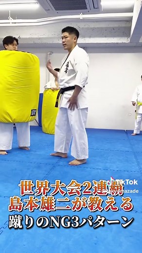 圧倒的な前足蹴りの構え！空手の極意