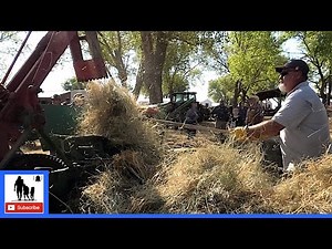 Vintage Farm Machinery At Work - Major County Threshing Bee