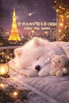 【5時間 】愛犬が安心して眠れるBGM｜分離不安の犬のためのリラックス音楽｜Relaxing Music for Dogs Home Alone