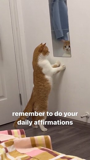 SCIENCE OF YOGA | 😹 🧬 SCIENCE below ⬇️ But seriously, emerging research supports repeating positive affirmations to yourself. ✅ Affirmations can boost... | Instagram