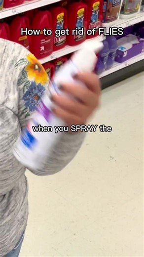 Effective Fly Sprays & Methods to Get Rid of Flies