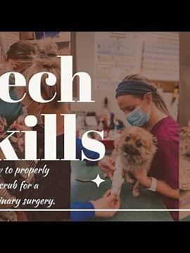 How To: Properly scrub for surgery, veterinary edition.