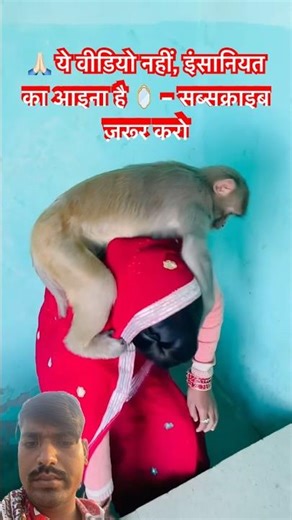 #monkey #funny #comedy #song #cute #monkeyvideosforkids #mummymonkey #youtubeshorts #ytshorts #yt