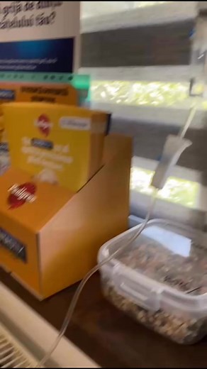 2.9K views · 64 reactions | … Regina continues her fight with sticker...